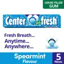 Center Fresh Spearmint Chewing Gum
