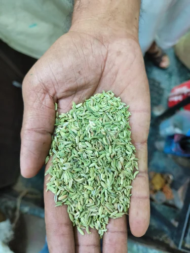 Roasted Saunf (Plain Fennel Seeds)