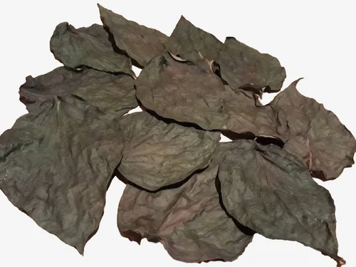 Calcutta Meetha Paan Leaves